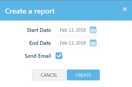 Create a report window