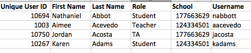 Image of a numeric identifier being used for the School Column in a CSV file.