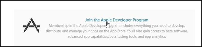 Apple Developer Program window