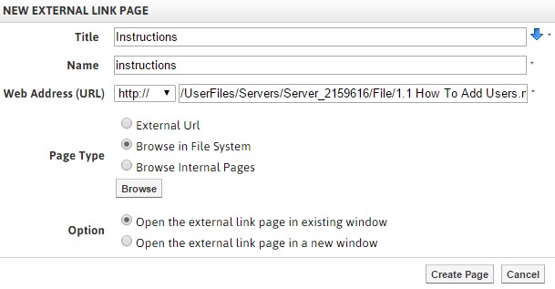 New External Link Page window