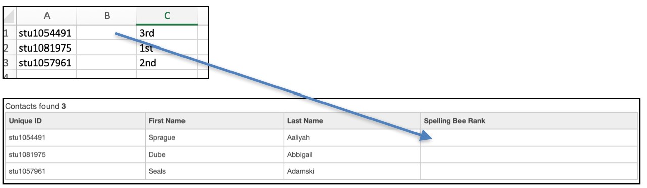 Custom Data Fields