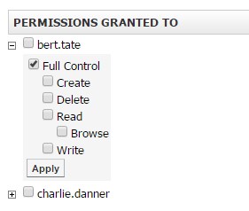 Permission Granted To window