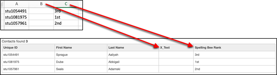 Custom Data Import