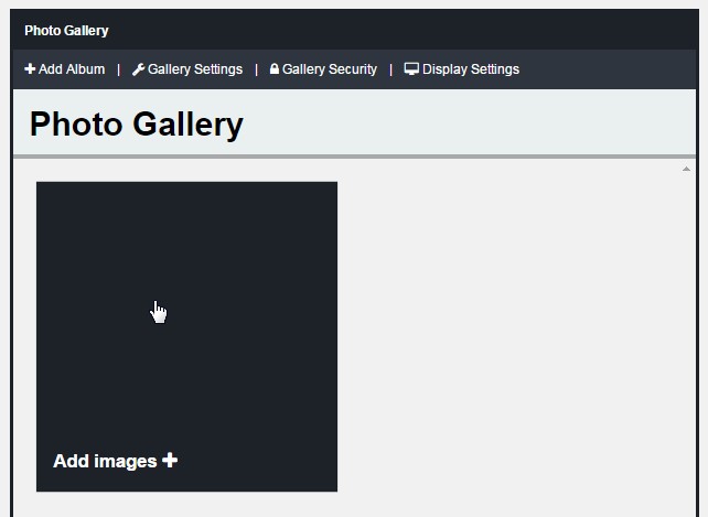 Photo Gallery window