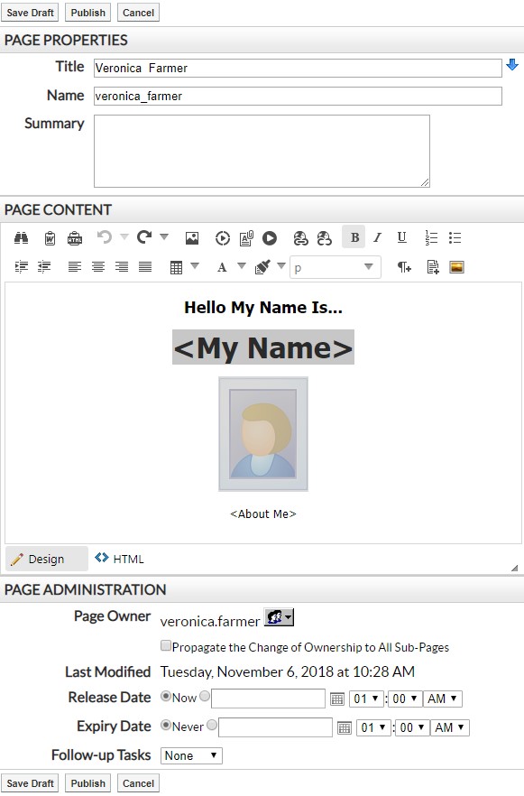 WYSIWIG Editor sections